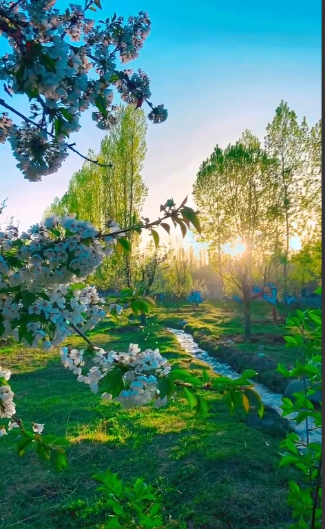 Lakeside View with Apple Trees